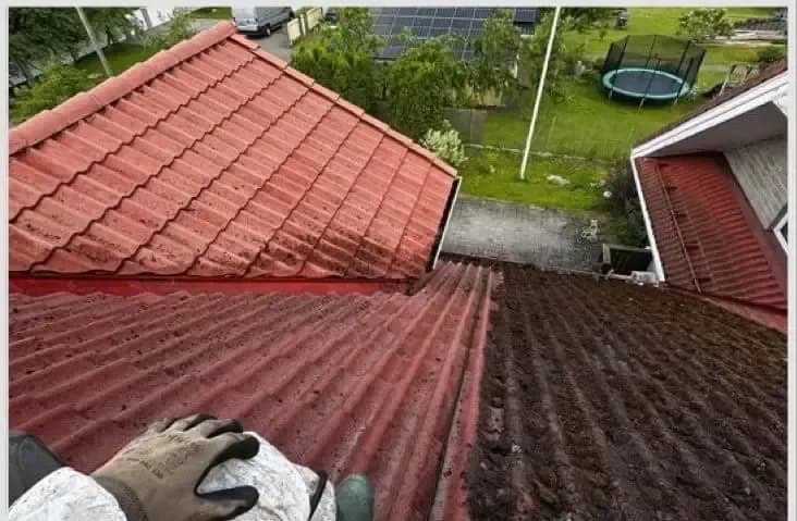 Punane katus enne pesu – sammal lainete vahel