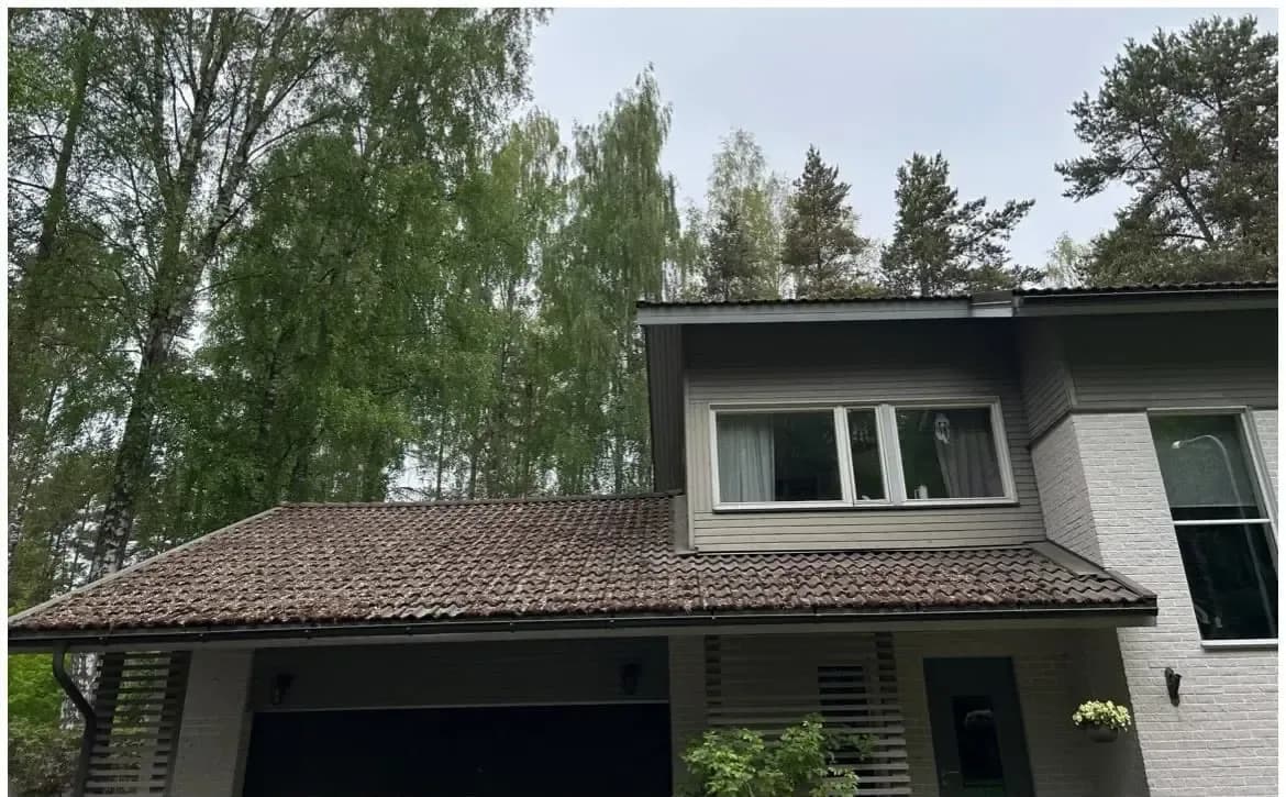 Tume kivikatus männimetsa all enne pesu – paks samblakiht garaaži ja maja katusel