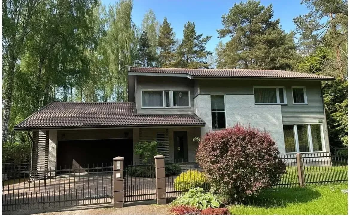 Tume kivikatus männimetsa all pärast pesu – kivi toon tagasi